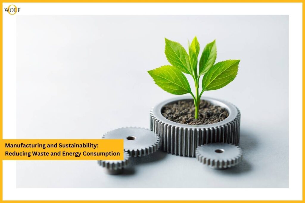 Manufacturing and Sustainability: Reducing Waste and Energy Consumption