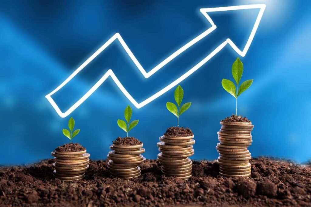 Bonds vs. Stocks: Key Differences Every Investor Should Know | Business Wolf Magazine